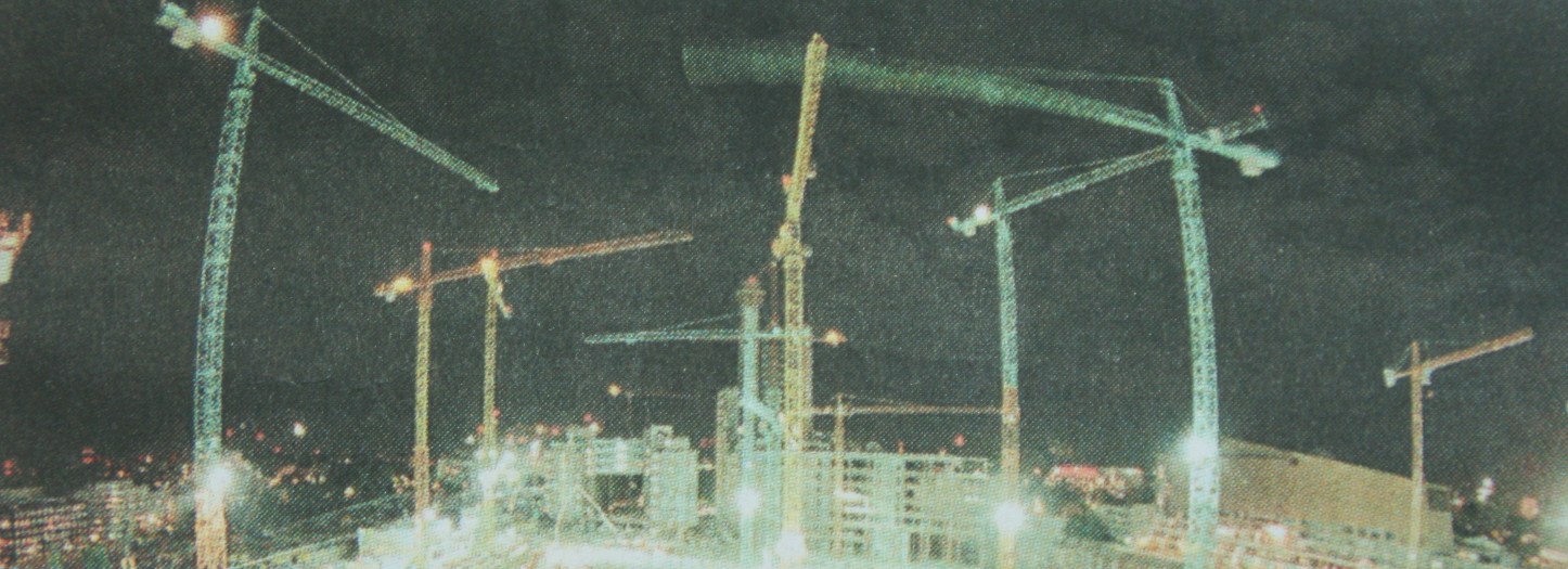 Kranballett Kraene Nacht.JPG